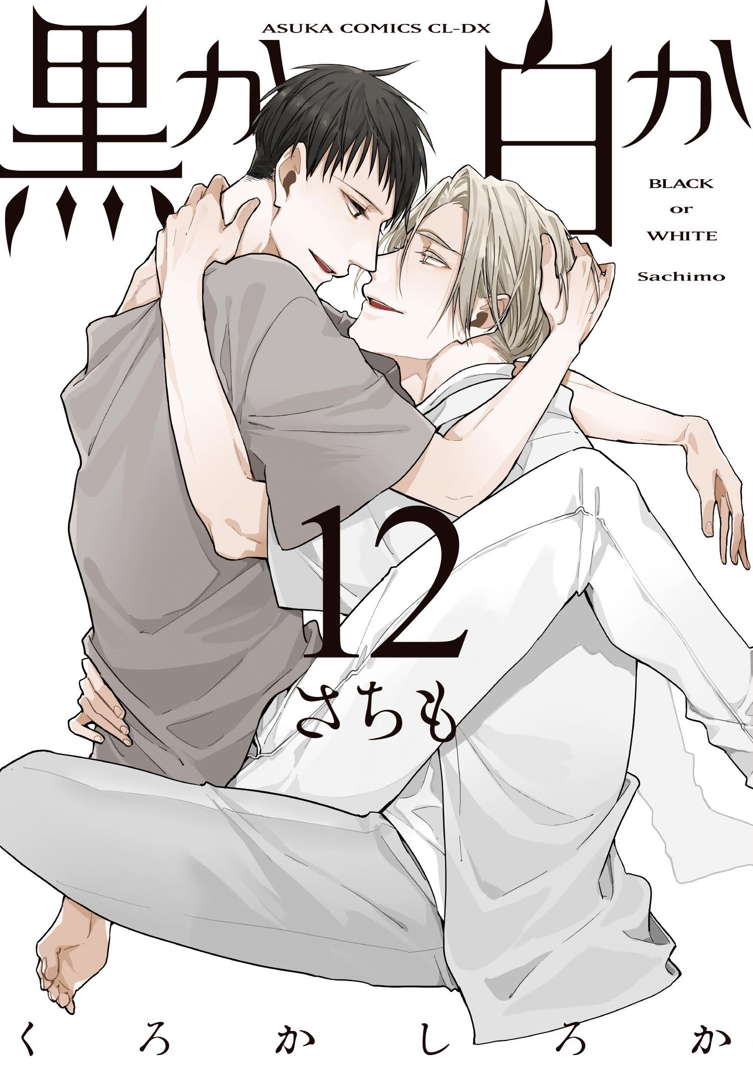 表紙：黒か白か12